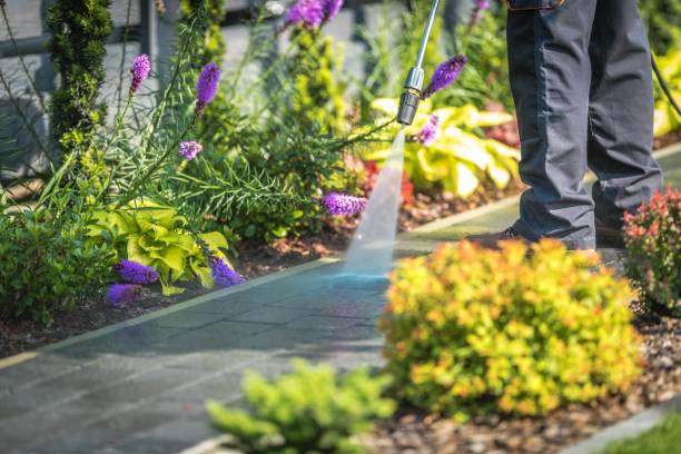 Best Patio and Deck Pressure Washing  in Homestead Valley, CA