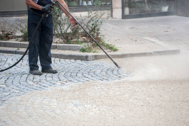 Best House Exterior Washing  in Homestead Valley, CA